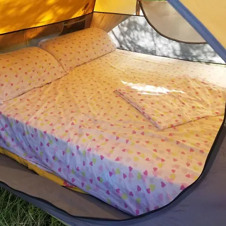 Waves Side Camping *