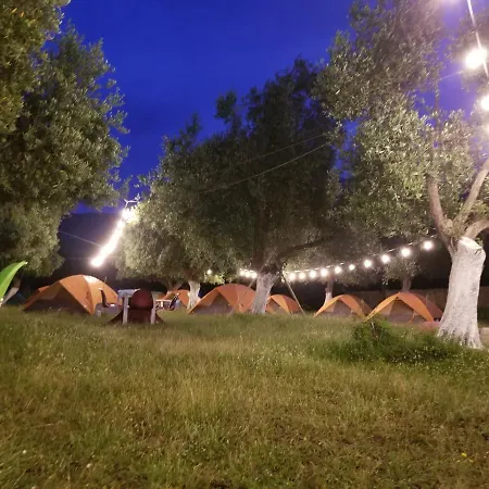 Apartment Waves Side Camping