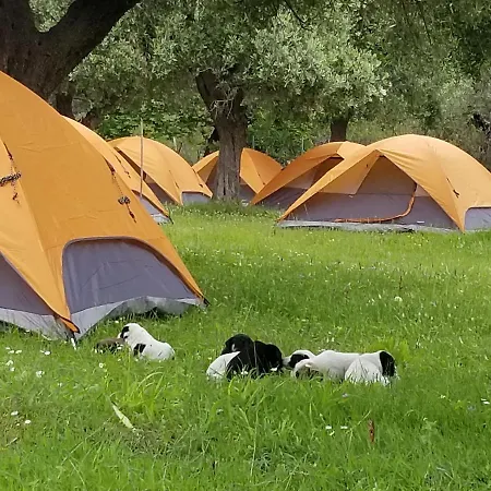 Waves Side Camping Apartment *